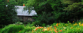 Dimitri Gerakaris' Studio and Garden